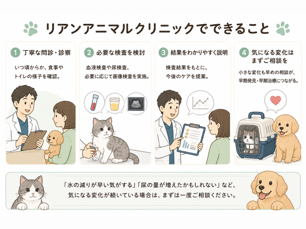 リアンアニマルクリニックでの問診・必要な検査・結果説明・診療相談など多飲多尿に対する診察の流れを説明したイラスト
