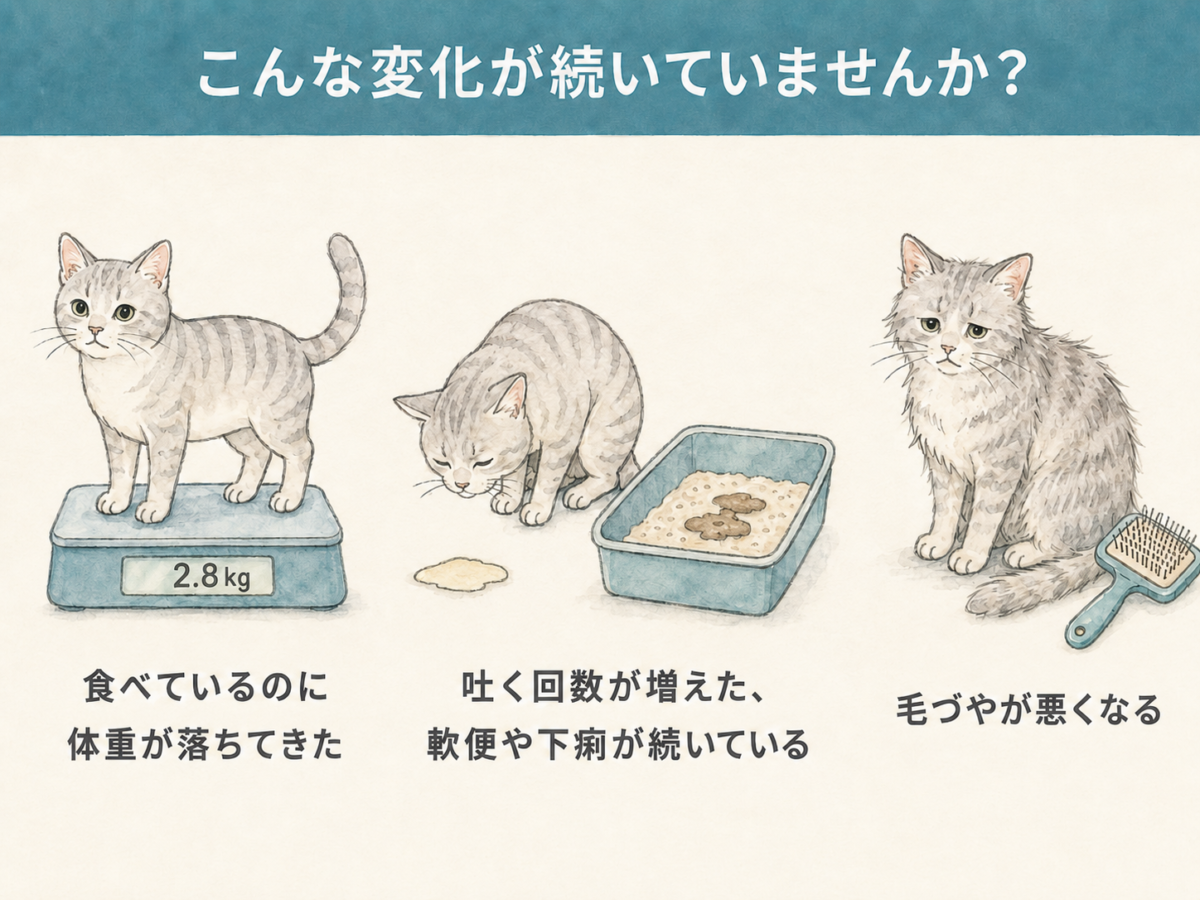 猫の消化器型リンパ腫のサイン図解：体重減少／嘔吐・軟便／毛づやの悪化