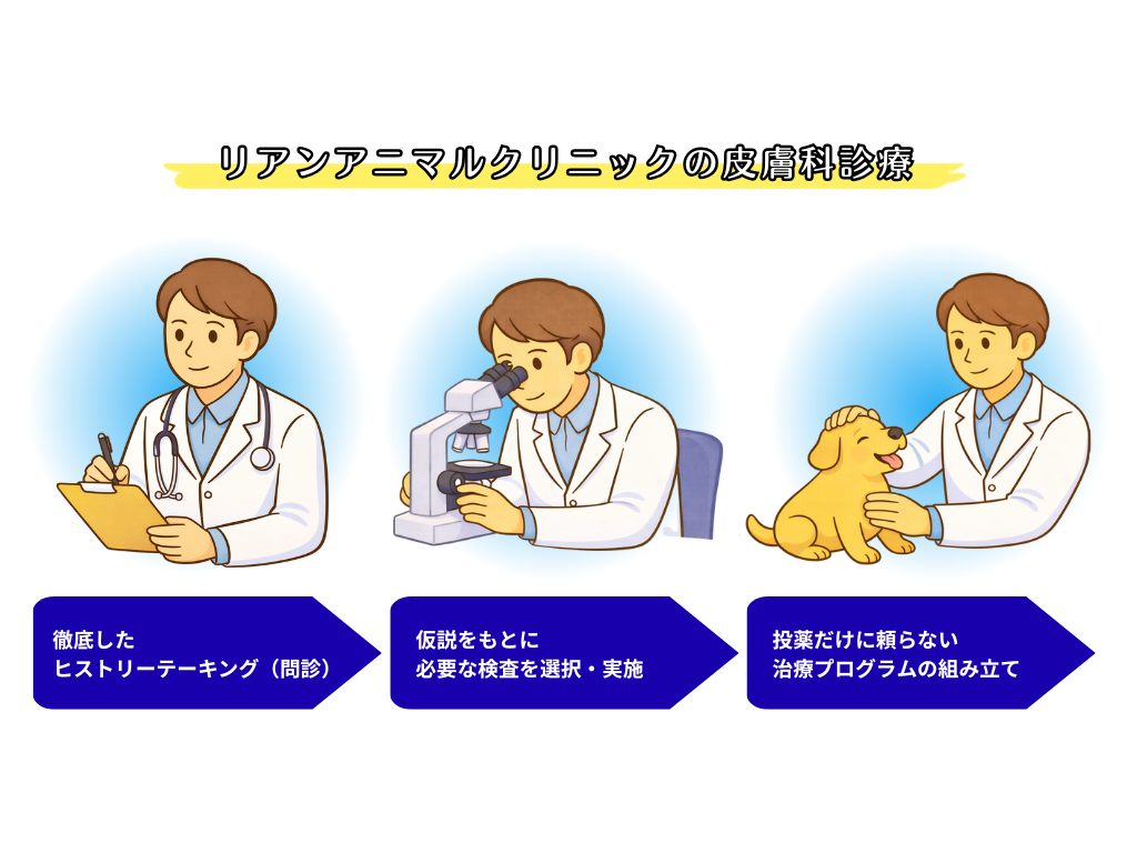 リアンアニマルクリニックの皮膚科診療の流れ。問診、顕微鏡検査、投薬だけに頼らない治療プログラムの組み立てを示すイラスト。