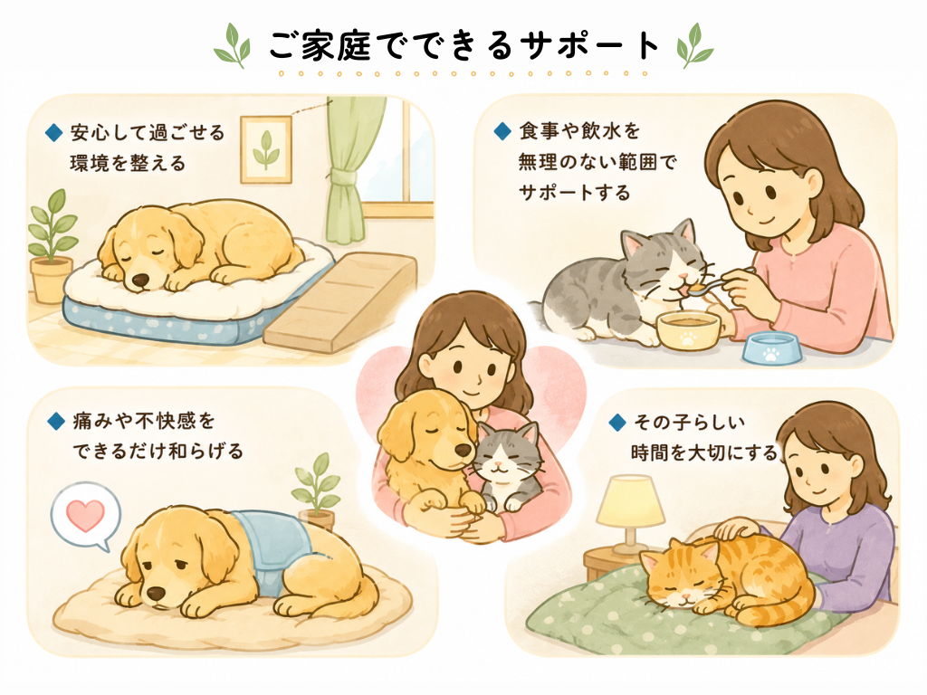 老犬や老猫の終末期に、自宅で安心して過ごせる環境づくりや食事・飲水の介助、痛みへの配慮、家族との穏やかな時間を大切にする様子を示したイラスト