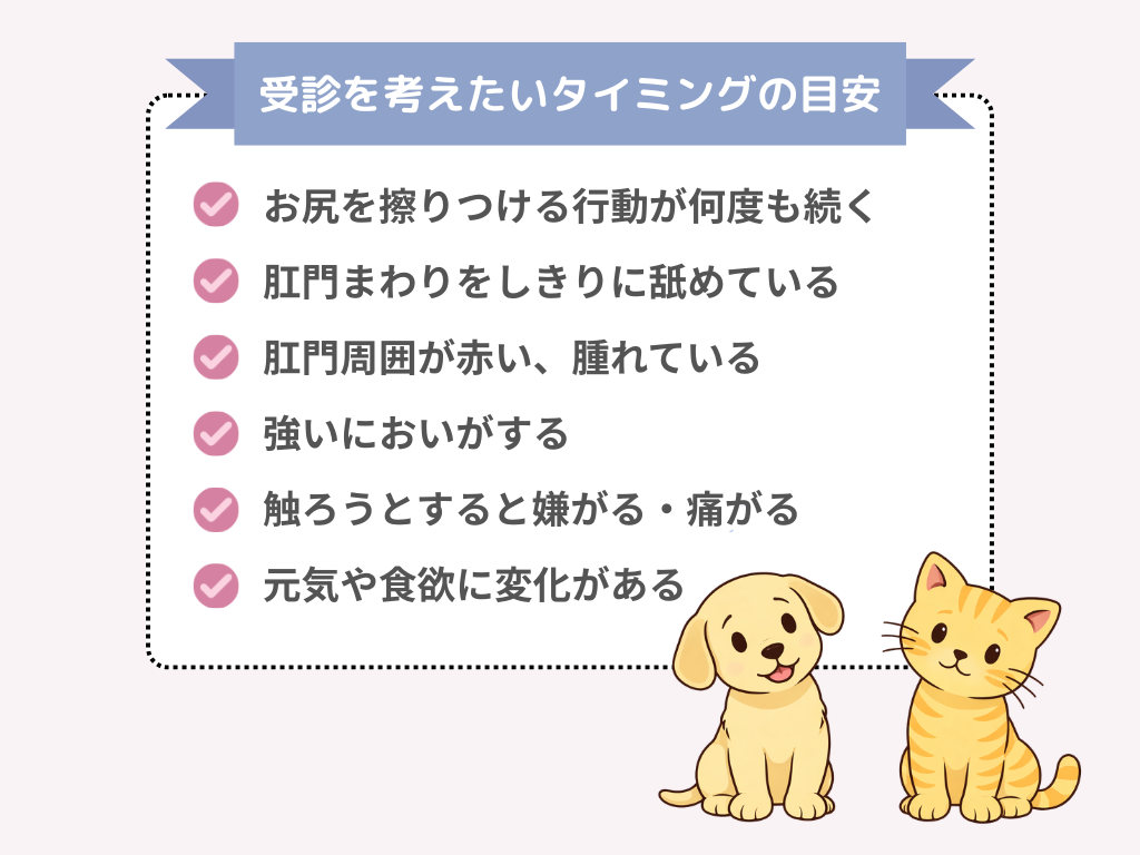 犬や猫がお尻を擦りつけるときに受診を検討したいサインの一覧。行動が何度も続く、肛門まわりをしきりに舐める、赤みや腫れがある、強いにおいがする、触ると嫌がる、元気や食欲に変化がある場合など