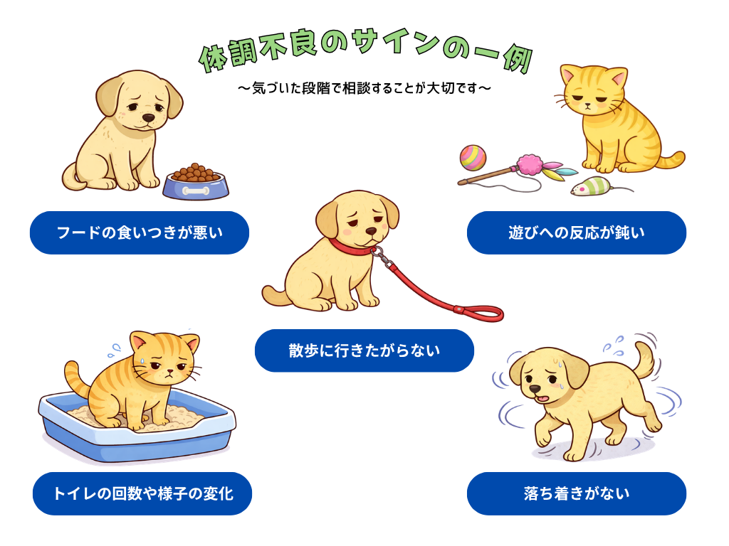 犬や猫の体調不良サインの例を紹介したイラスト。フードの食いつきが悪い、遊びへの反応が鈍い、散歩に行きたがらない、トイレの回数や様子の変化、落ち着きがないなど、早めに相談したい変化を示している。