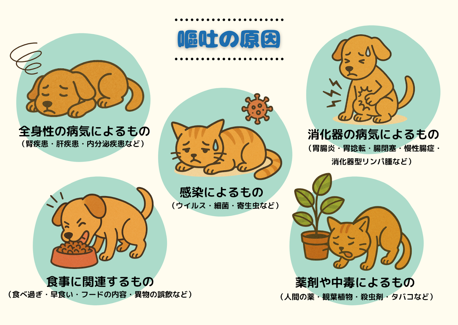 犬猫の嘔吐原因を解説するイラスト。全身性疾患、消化器疾患、感染症、食事関連、薬剤や中毒によるものを犬猫の絵で説明。