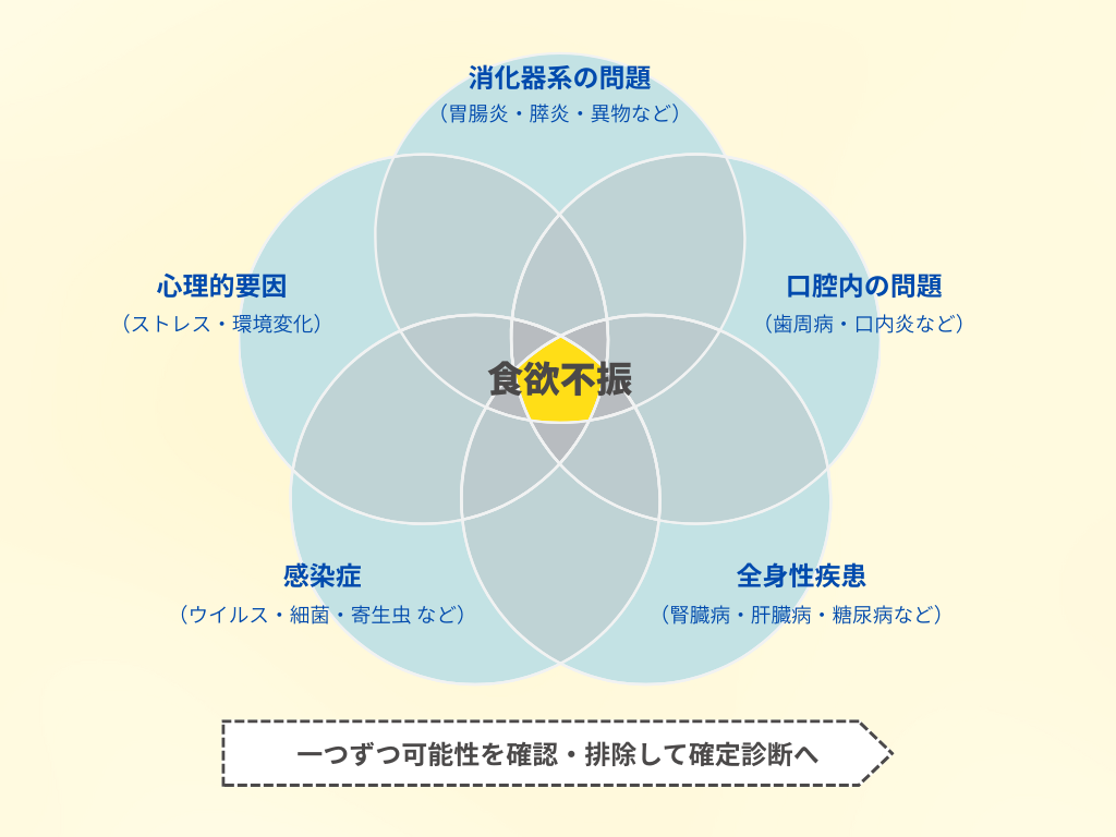 犬や猫の食欲不振の原因を示す図。中央に「食欲不振」があり、「消化器系の問題（胃腸炎・膵炎・異物など）」「口腔内の問題（歯周病・口内炎など）」「全身性疾患（腎臓病・肝臓病・糖尿病など）」「感染症（ウイルス・細菌・寄生虫など）」「心理的要因（ストレス・環境変化）」の5つの要素が重なり合っている。下部に「一つずつ可能性を確認・排除して確定診断へ」と記載。
