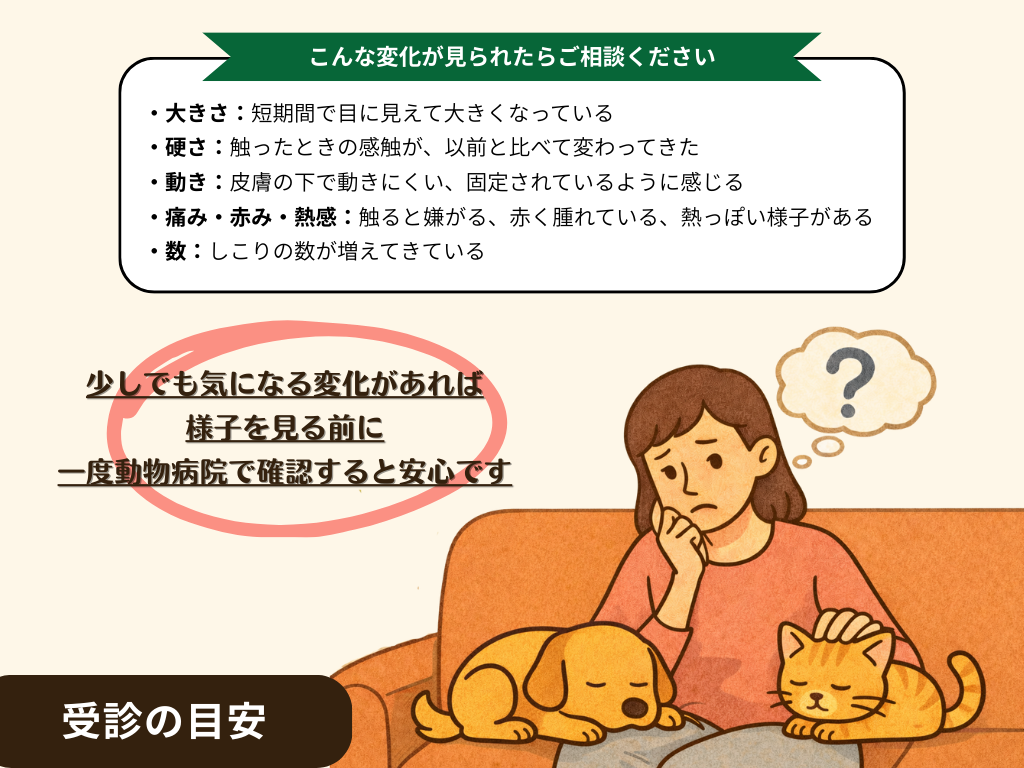 犬や猫のしこりに不安を感じる飼い主が、ソファで愛犬と愛猫をなでながら悩んでいるイラスト。しこりの大きさ・硬さ・動き・痛み・数の変化など、動物病院へ相談すべき目安が箇条書きで示され、「気になる変化があれば早めに受診を」と呼びかけている。