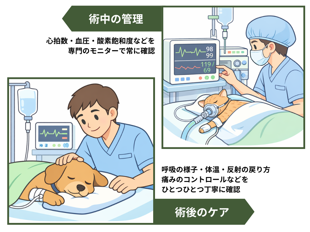 麻酔中のモニタリングと術後ケアの様子|心拍数・血圧・酸素飽和度を確認しながら管理される犬・猫の麻酔管理イメージ