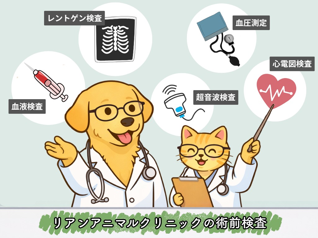 リアンアニマルクリニックの術前検査の説明イラスト|血液検査・レントゲン検査・血圧測定・超音波検査・心電図検査を受ける犬と猫のイメージ