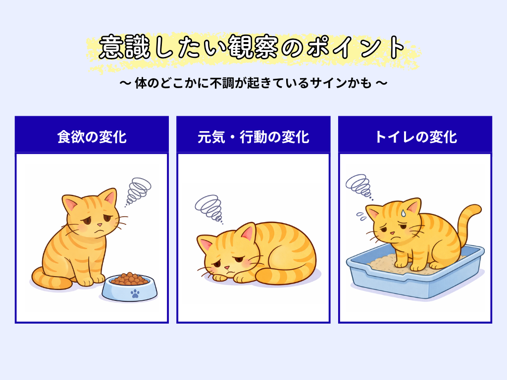 猫の体調不良のサインとして、食欲低下・元気や行動の変化・トイレの異常を示したイラスト